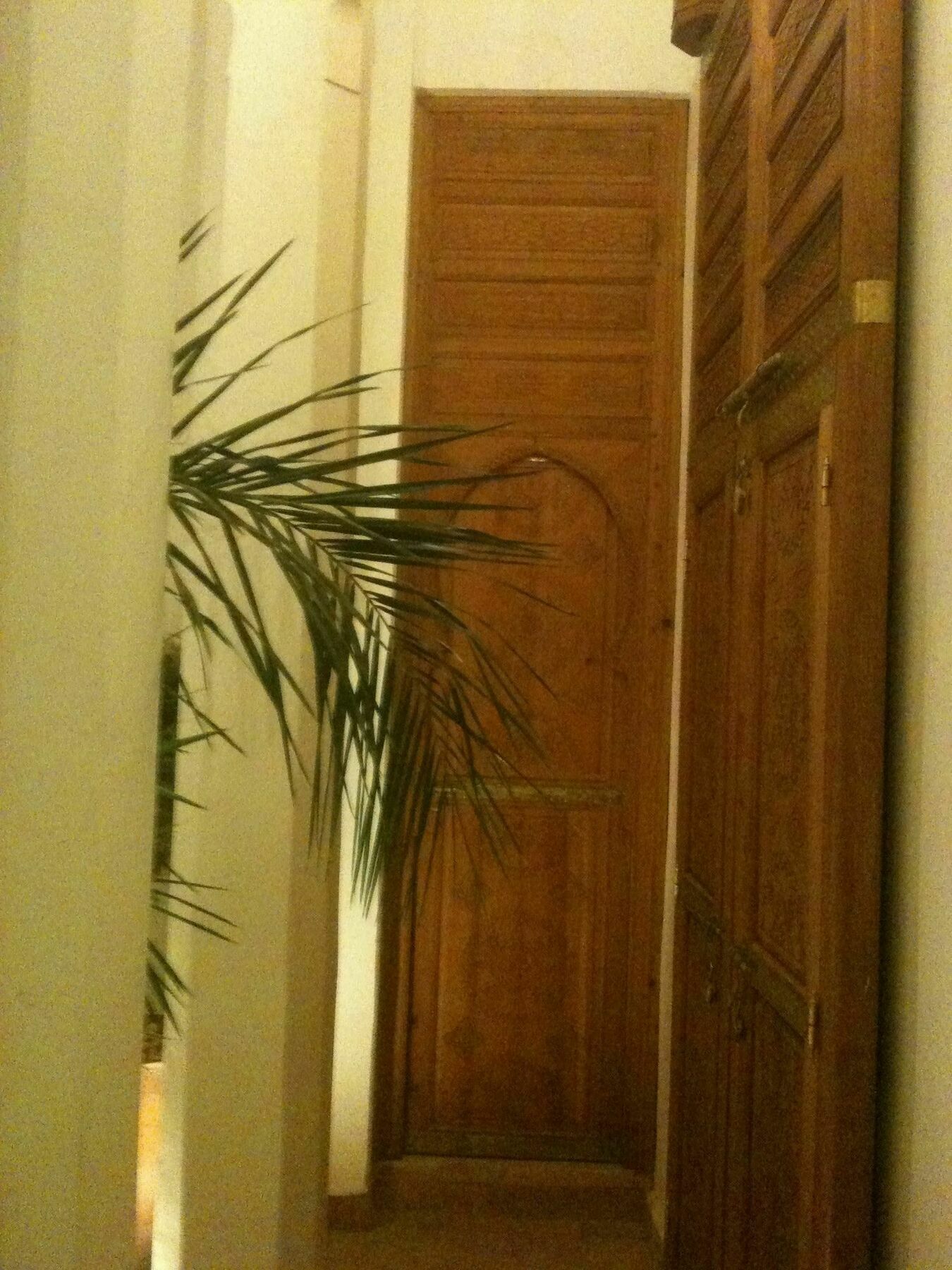 Chameau Fdc Riad 3*