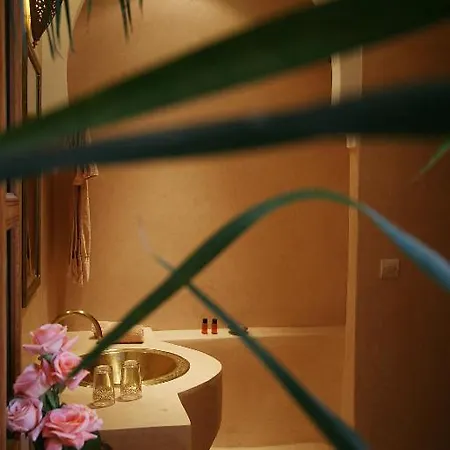 Riad Chameau Fdc Hotel Spa Marrakesh Room photo